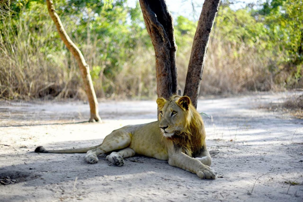 Fathala Wildlife Reserve Toubakouta Exterior foto