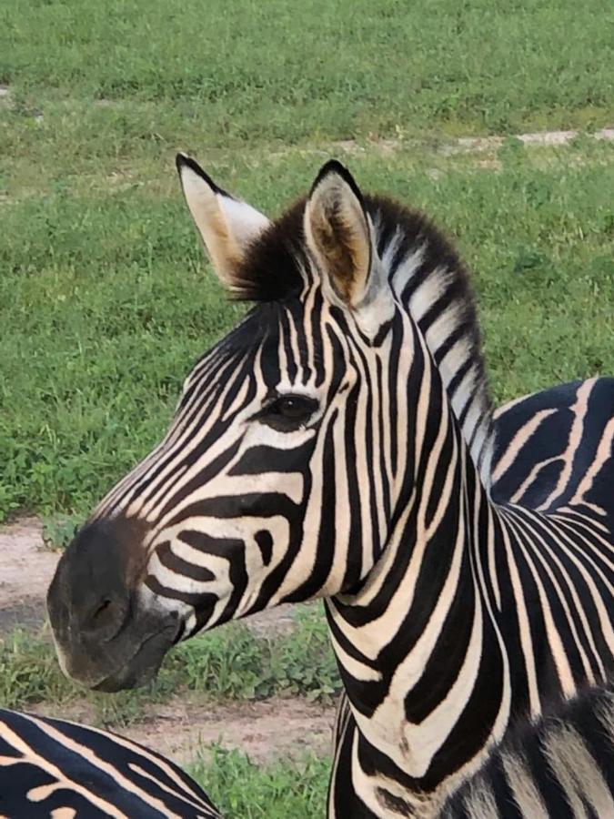 Fathala Wildlife Reserve Toubakouta Exterior foto